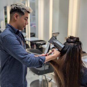 David is dryer the hairs of a women